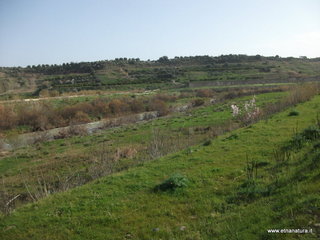 lle del Simeto-24-02-2013 09-20-17